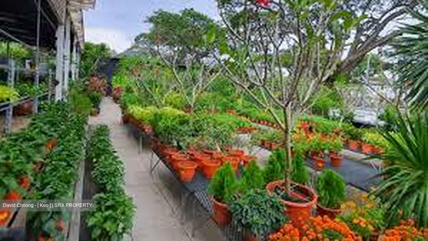 Caldecott Hill Estate (D11), Detached #361010451